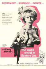 Watch The Small World of Sammy Lee M4ufree