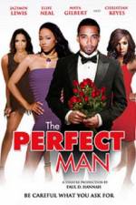 Watch The Perfect Man M4ufree