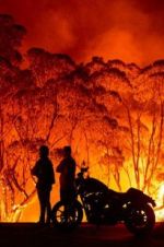 Watch Fire Fight Australia M4ufree