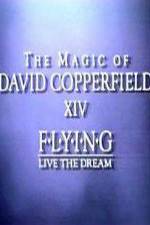 Watch The Magic of David Copperfield XIV Flying - Live the Dream M4ufree