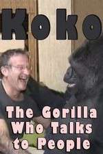 Watch Koko: The Gorilla Who Talks to People M4ufree
