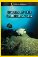Watch National Geographic Jewels of the Caribbean Sea M4ufree