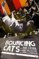 Watch Bouncing Cats M4ufree