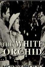 Watch The White Orchid M4ufree