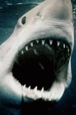 Watch Sharkmania: The Top 15 Biggest Baddest Bloodiest Bites M4ufree