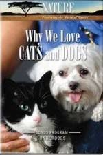 Watch Why We Love Cats And Dogs M4ufree
