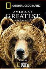 Watch America's Greatest Animals M4ufree