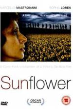 Watch Sunflower M4ufree
