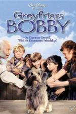 Watch Greyfriars Bobby The True Story of a Dog M4ufree