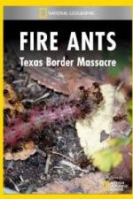 Watch National Geographic Fire Ants: Texas Border Massacre M4ufree
