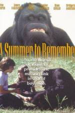 Watch A Summer to Remember M4ufree