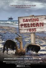 Watch Saving Pelican 895 (Short 2011) M4ufree