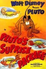 Watch Pluto\'s Surprise Package M4ufree