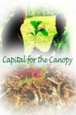 Watch Capital for the Canopy M4ufree