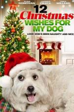 Watch 12 Christmas Wishes For My Dog M4ufree