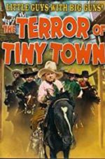 Watch The Terror of Tiny Town M4ufree