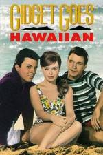 Watch Gidget Goes Hawaiian M4ufree