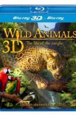 Watch Wild Animals - The Life of the Jungle 3D M4ufree