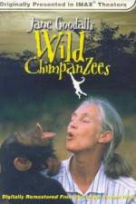 Watch Jane Goodall's Wild Chimpanzees M4ufree