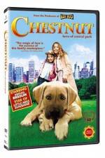 Watch Chestnut - Hero of Central Park M4ufree