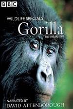 Watch Gorilla Revisited with David Attenborough M4ufree