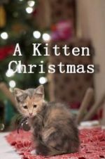 Watch A Kitten Christmas M4ufree