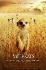 Watch The Meerkats M4ufree