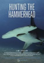 Watch Hunting the Hammerhead M4ufree