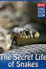 Watch The Secret Life of Snakes M4ufree