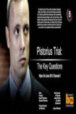 Watch Pistorius Trial: The Key Questions M4ufree