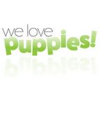 Watch We Love Puppies M4ufree