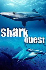 Watch Shark Quest M4ufree