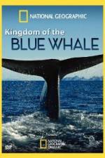 Watch National Geographic Kingdom of Blue Whale M4ufree