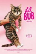 Watch Lil Bub & Friendz M4ufree