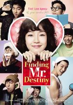 Watch Finding Mr. Destiny M4ufree