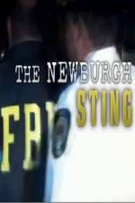 Watch The Newburgh Sting M4ufree