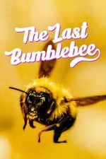 Watch The Last Bumblebee M4ufree