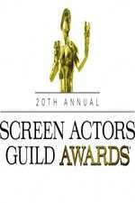Watch The 20th Annual Screen Actors Guild Awards M4ufree
