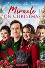 Watch Miracle on Christmas M4ufree