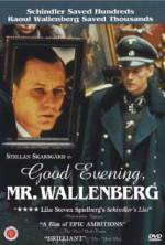 Watch Good Evening, Mr. Wallenberg M4ufree