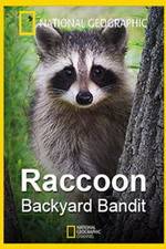 Watch Raccoon: Backyard Bandit M4ufree