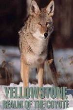 Watch Yellowstone: Realm of the Coyote M4ufree