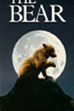 Watch The Bear - (L'ours) M4ufree