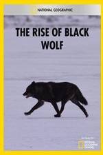 Watch The Rise of Black Wolf M4ufree