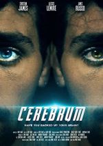 Watch Cerebrum M4ufree