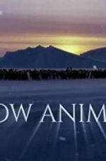 Watch Snow Animals M4ufree