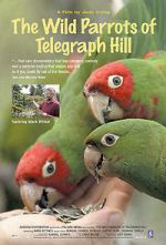 Watch The Wild Parrots of Telegraph Hill M4ufree