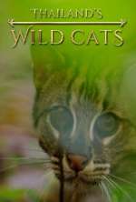 Watch Thailand's Wild Cats M4ufree