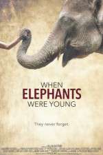 Watch When Elephants Were Young M4ufree