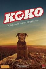 Watch Koko: A Red Dog Story M4ufree